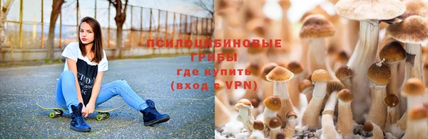 герыч Богданович