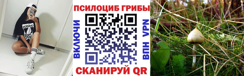 OMG зеркало  Надым  Псилоцибиновые грибы Psilocybe 